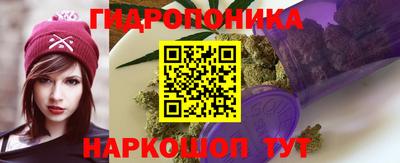 индика Ликино-Дулёво