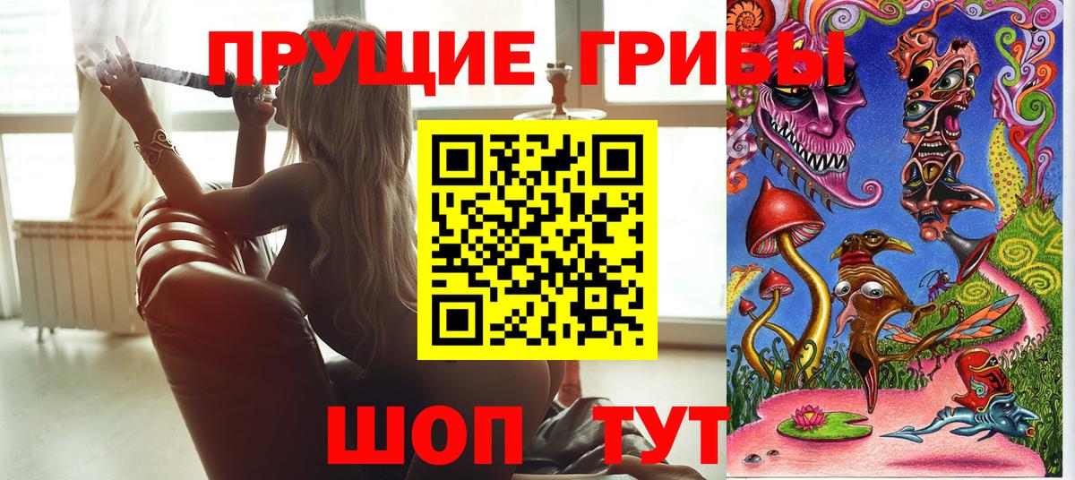 Псилоцибиновые грибы Psilocybine cubensis Дзержинский